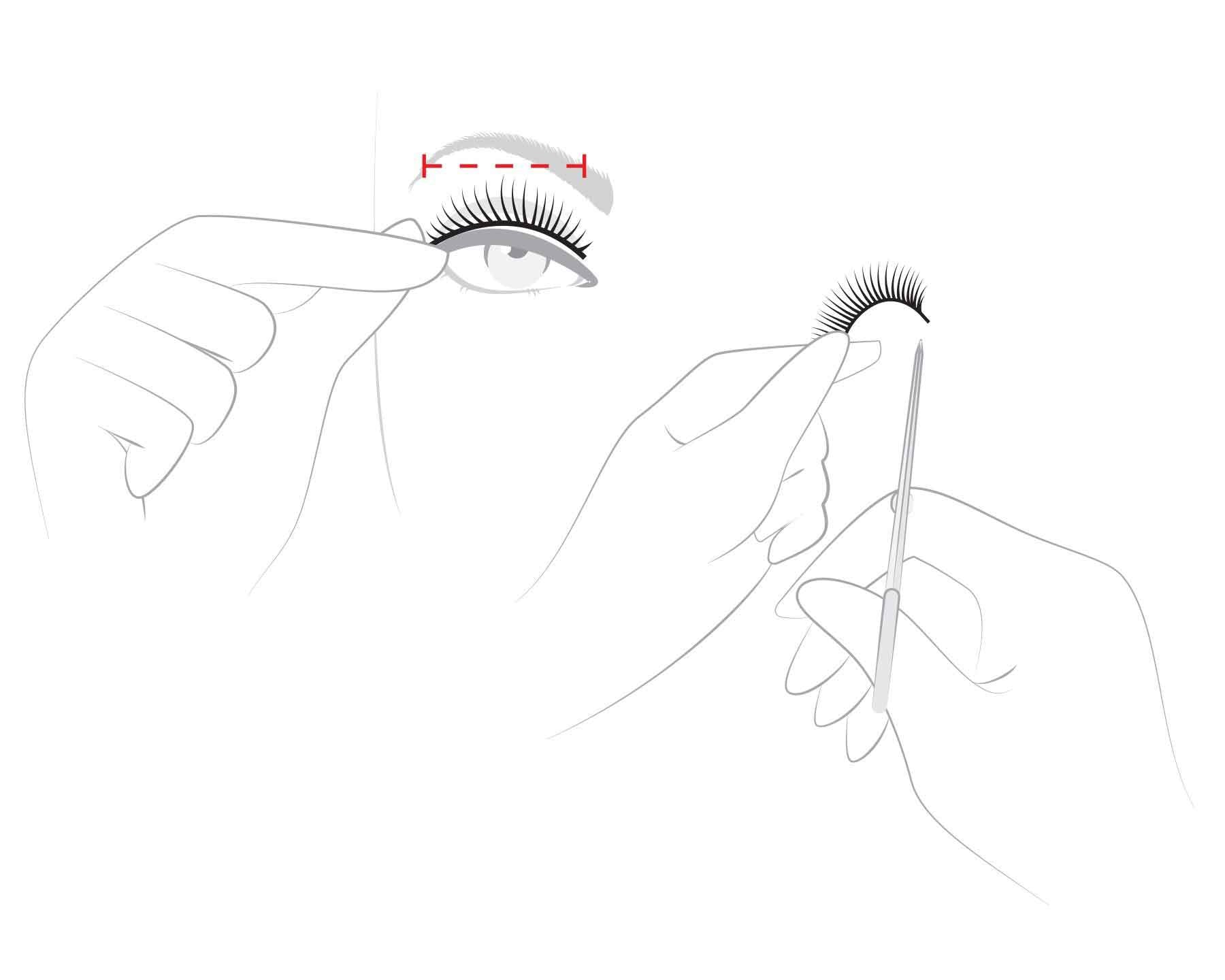 How to size your false lashes