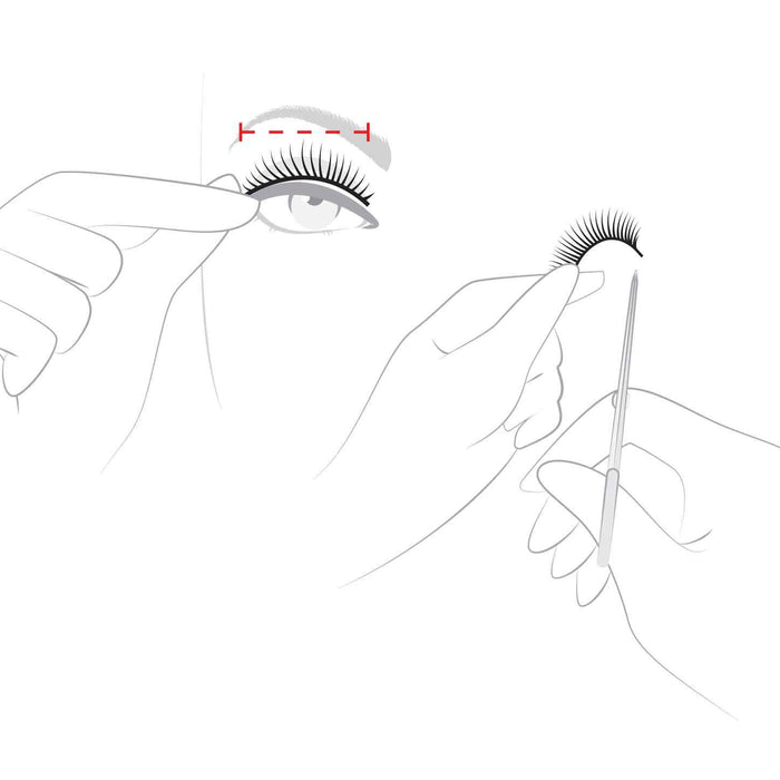 How to size your false lashes